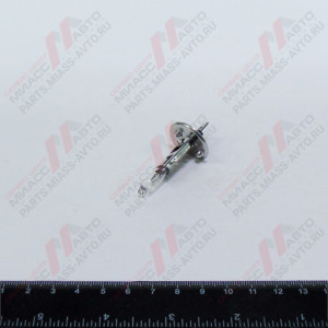 Лампа ПТФ Стралис